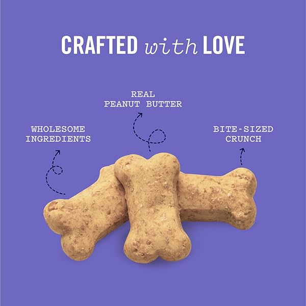 THREE DOG BAKERY ITTY BITTY BONES PEANUT BUTTER DOG TREATS, 32OZ – CRUNCHY BONES FOR DOG TRAINING TREATS, REAL PEANUT BUTTER PUPPY TRAINING TREATS, DOG BAKERY TREATS