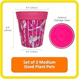 Hum Flowerpots 22cm Set of 3 Pink Parrots Plastic Plant Pots Indoor Outdoor view 2