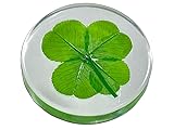 KIN-HEBI Real Four Leaf Clover Good Luck Pocket