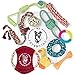 My Petential Dog Toy Gift Set (10 Pack) - Fun Rope, Rubber and Squeaky Pet Toy - Interactive Chew Toys for Happy Dogs - Good for Teething, Tug of War and Keeps Them Busy