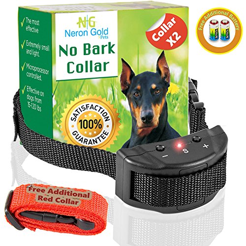 Neron Gold Pets No Bark Dog Collar For Bark Control | 7 Levels of Sensitivity | For Medium Large Or Small Dogs | No Harm Warning Beep & Shock Anti Bark Training Collar(Black) | Gift:Stylish Red Collar