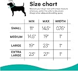 Black Rhino The Comfort Collar Dog Collar All Breeds Ultra Soft Neoprene Padded view 3