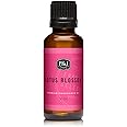 P&J Trading Fragrance Oil | Lotus Blossom Oil 30ml - Candle Scents for Candle Making, Freshie Scents, Soap Making Supplies, Diffuser Oil Scents