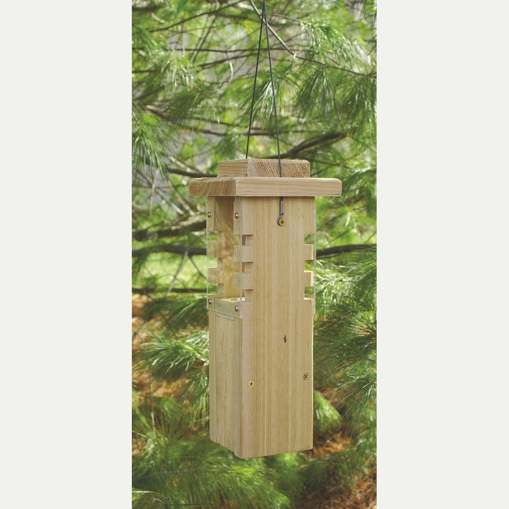 Woodpecker Feeder: Amazon.co.uk: Pet Supplies