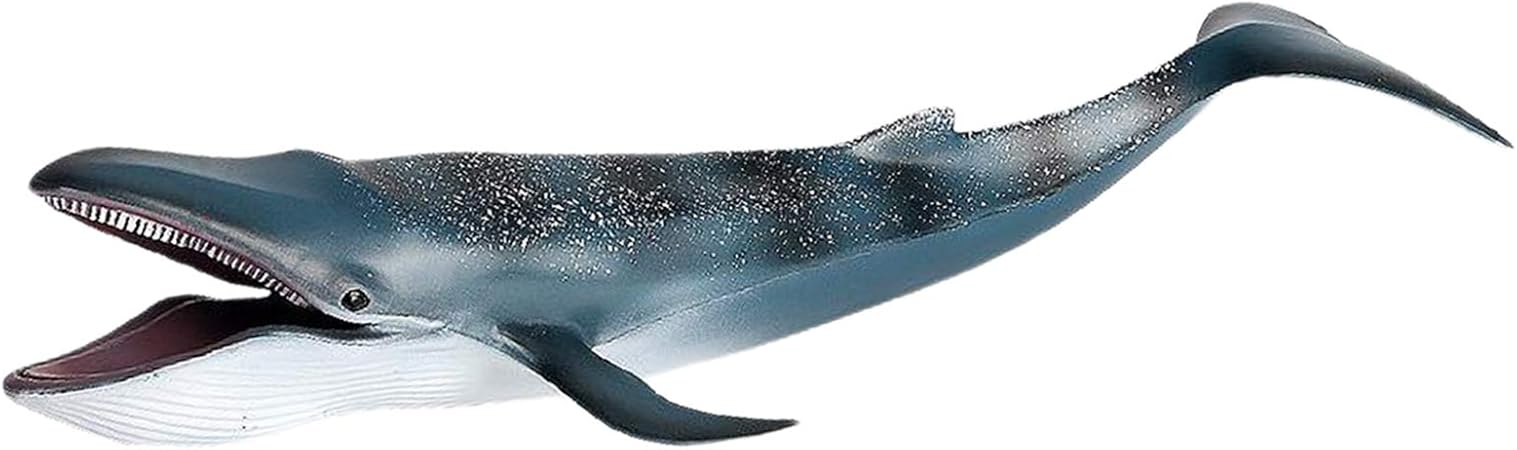 Amazon T Tooyful 12インチシロナガスクジラフィギュアのおもちゃ 現実的な海の生物クジラアクション置物モデルハンド塗装肌の質感海の生物コレクションギフト ロボット 子ども向けフィギュア おもちゃ Amazon T Tooyful 12インチシロナガスクジラフィギュアのおもちゃ 現実的な海の生物クジラアクション置物モデルハンド塗装肌の質感海の生物コレクションギフト ロボット 子ども向けフィギュア おもちゃ