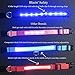 Blazin Light Up Dog Collar - The Original LED Dog Collar - USB Rechargeable - Waterproof - 1,000 Feet of Visibility - Dog Collar Light for Small, Medium, Large Dogs - USA Brand