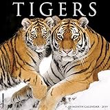 Tigers 2019 Wall Calendar by 