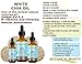Botanical Beauty WHITE CHIA SEED OILL 100% Pure Natural Virgin Unrefined Cold-pressed carrier oil 0.5 Fl oz 15 ml for Face, Skin, Body, Hair, Lip, Nails. Rich in vitamin E