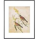 Fkvat 11x14 Picture Frame, Black Modern Aluminum Metal Photo Frame with HD Glass, Fits 8x10 with Mat or 11 x 14 without Mat, Vertical and Horizontal Wall Mounting, 1 Pack