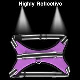 FYY Dog Harness No Pull Breathable Adjustable Reflective Vest M Purple view 5