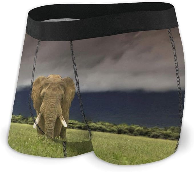 GREENYU Men'sBoxer Briefs Elephant Boxer Shorts Comfort Underwear for