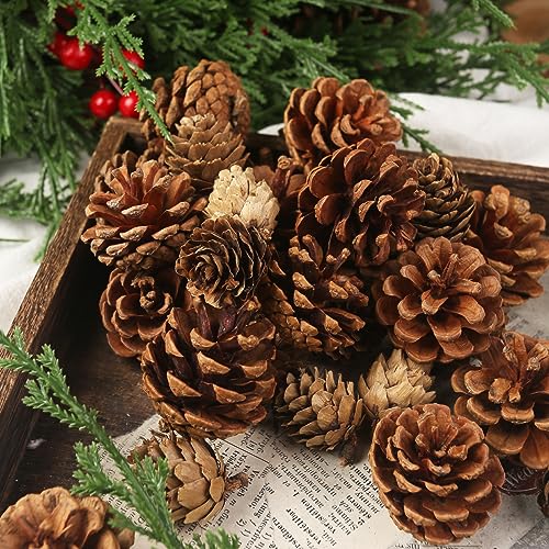JOHOUSE 30PCS Christmas Pine Cones, Natural Pinecones for Crafts Assortment Rustic Pine Cones for Decorating Christmas Winter Holidays Table Bowl Fillers