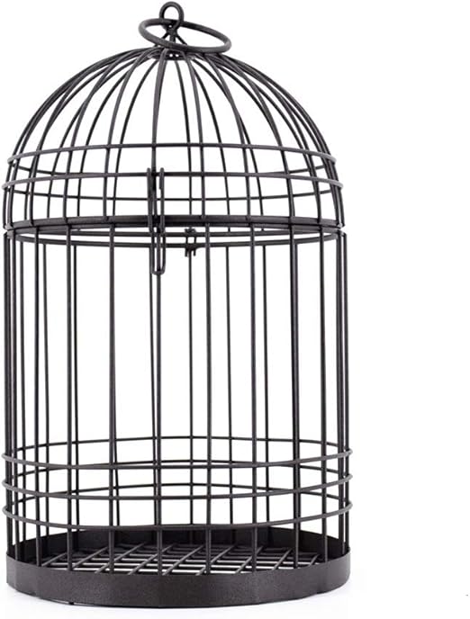simple bird cage