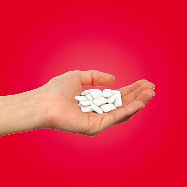 PUR GUM | ASPARTAME FREE CHEWING GUM | 100% XYLITOL | NATURAL CINNAMON FLAVORED GUM, 55 PIECES (PACK OF 3)