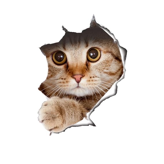 JYSPORT 3D Katzen-Aufkleber Vinyl-Graffiti-Laptop-Gepäck-Fahrrad-Wandbeutel-Wandaufkleber- Toiletten Wandtattoo-Kühlraum-Deko