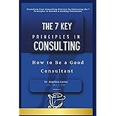 The 7 Key Principles In Consulting: How to Be a Good Consultant (Consulting, Business and Financial Planning)