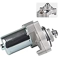 WATERWICH Starter Compatible with Tao Tao 125cc 110cc-50cc ATV Coolster Motor Coolster Four 4 Wheeler Chinese Pit Dirt Bike 4 Wheelers Go Karts Dune Buggy Sandrail Quad SSR Roketa