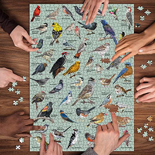 Vintage Bird Puzzle for Adults 1000 Pieces, Hummingbird Nature Puzzle