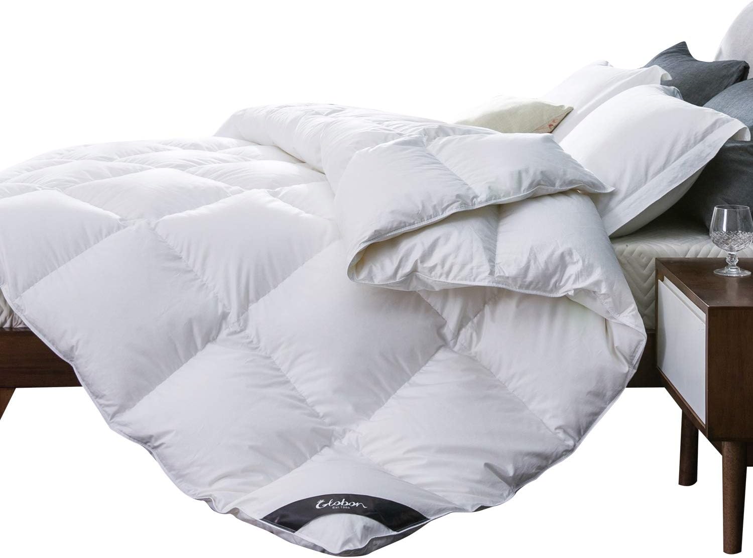Globon White Goose Down Comforter Queen Medium Warmth All Season, 400 Thread Count Hypoallergenic 100% Cotton Shell, with Corner Tabs, 25oz,700 Fill Power, Solid White