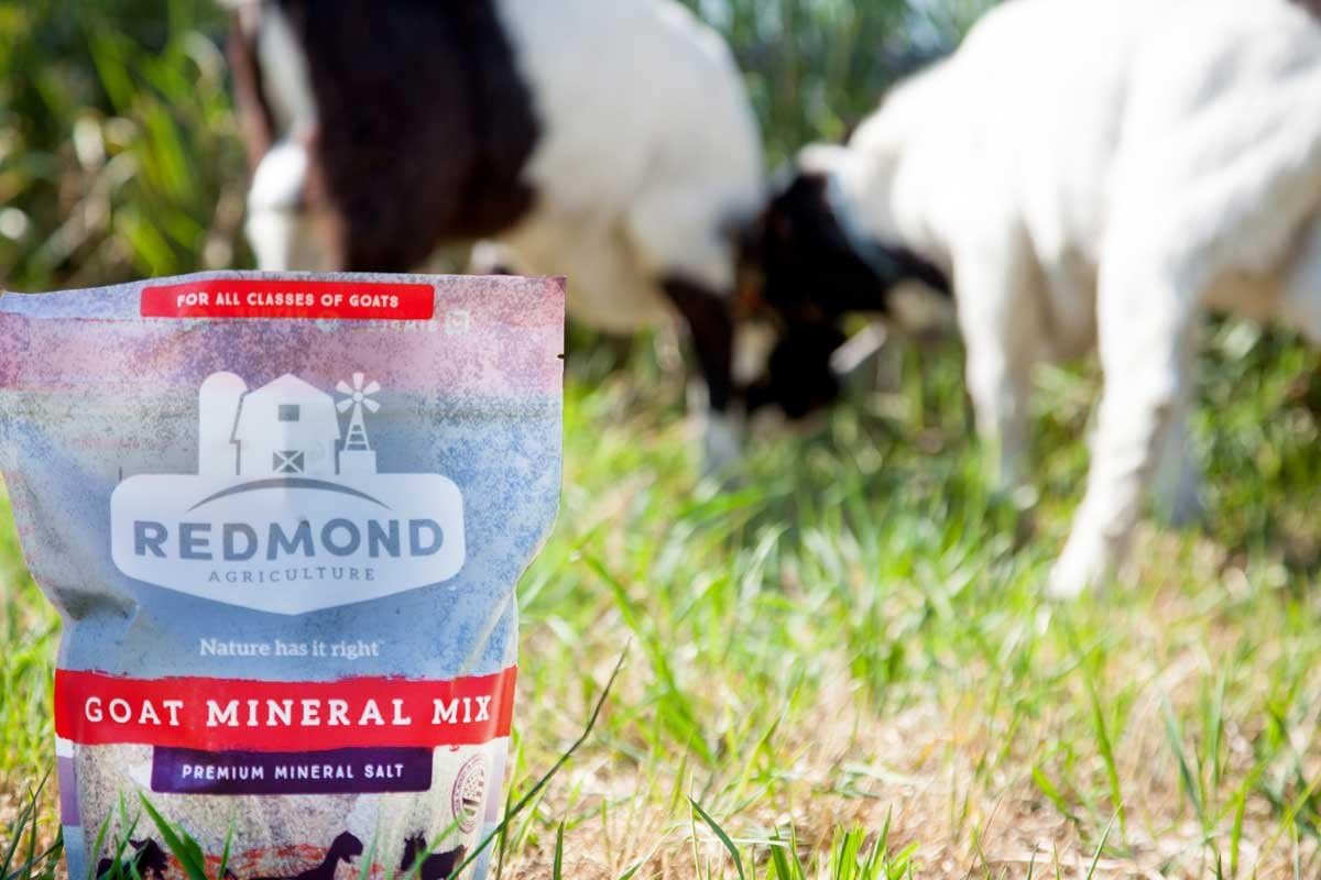 Redmond – Goat Mineral Supplement Mix, Unrefined Salt, 5 lbs: Health & Personal Care