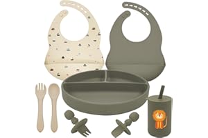 LITTLE RAWR Silicone Baby Feeding Set, Baby Led Weaning Supplies, Baby Spoons Suction Divided Plate Bib Cup, First Stage Solid Food Eating Utensils - 6+ Months(Green-Beige)