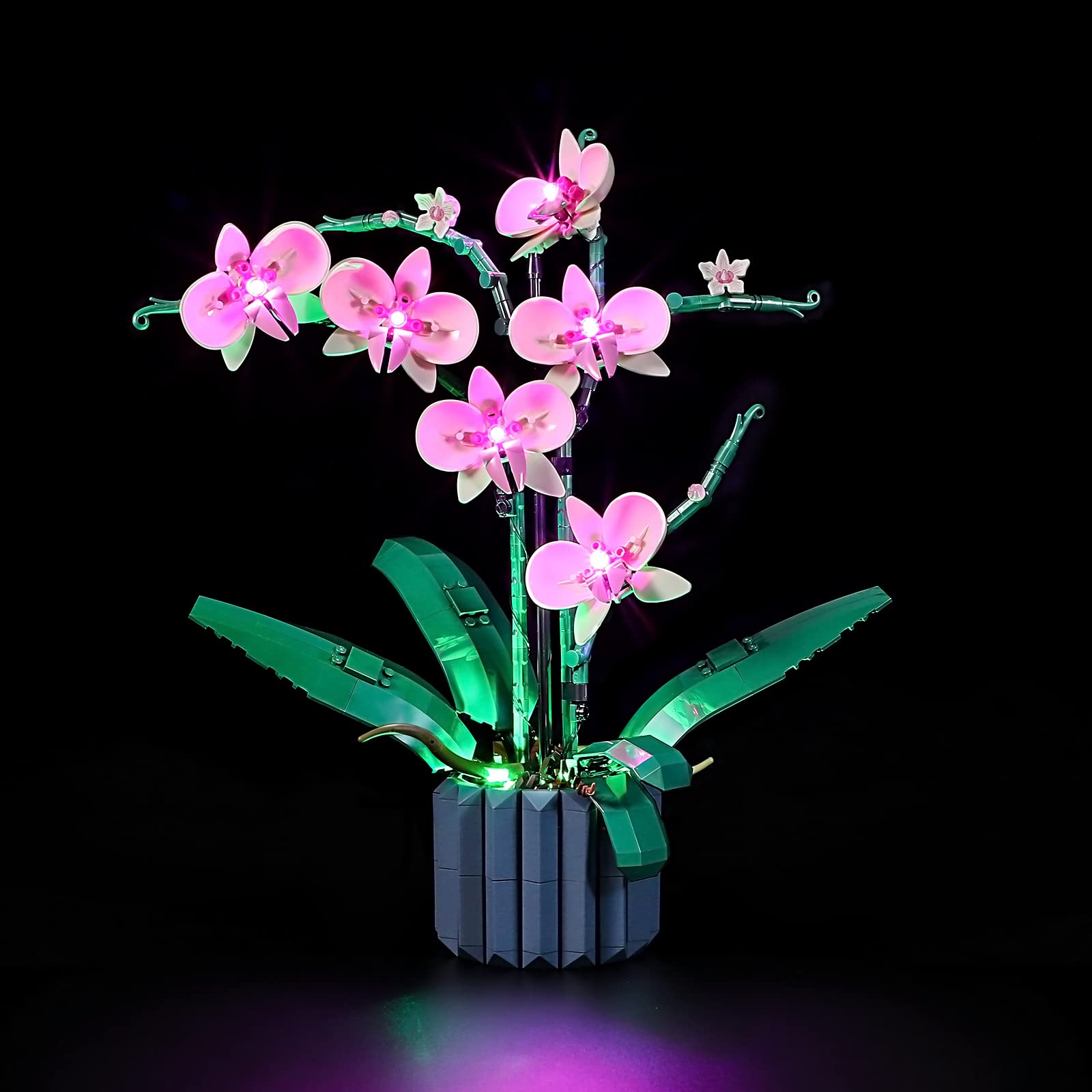 GEAMENT LED Light Kit Compatible with LEGO Orchid - Lighting Set for Creator 10311 Model (Building Set Not Included)