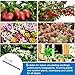 Sonidko Hydroponics Growing System
