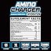 Nutrex Research Amino Charger Plus Hydration | BCAA, Coconut Water, Electrolytes, Taurine, Magnesium for Maximum Performance & Recovery | Cosmic Blast | 30 Servings