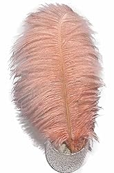 Lampu 10pcs Ostrich Feathers 14-16inch(35-40cm) for