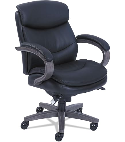 Amazon.com: La-Z-Boy Woodbury High-Back Executive Chair, Supports