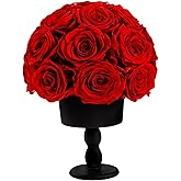 Eternal Rose Dome with Vintage Pedestal, 23 Forever Preserved Roses Arrangement for Home Decoration, Ideal Gift for Christmas,Valentine's Day, Mother's Day, Birthdays(Red)