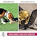 Dog Toys - Durable Dog Toys - Dog Rope Chew Toys - Rope Dog Toy - Tug of War Dog Toy for Large Breed - Small Breed Puppy Teething Toys - Washable Cotton Rope Dog Toy (Small Breed, 13, Count)