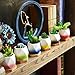HomeNote 2.75inch Succulent Planter Pots Set Flower Cactus Ceramic Holder Unique Color Glaze White Container Kit with Bamboo Tray for Home Decor（Pack of 6)