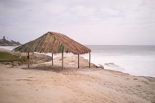 Amazon Com San Diego Windansea Beach Art Shelter Handmade Amazon Com San Diego Windansea Beach Art Shelter Handmade
