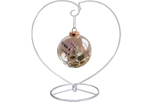 YY YEARCHY Ornament Display Stand for Hanging Glass Globe Ball, Air Plant Flower Holder (Silver, 9" x 8.8")