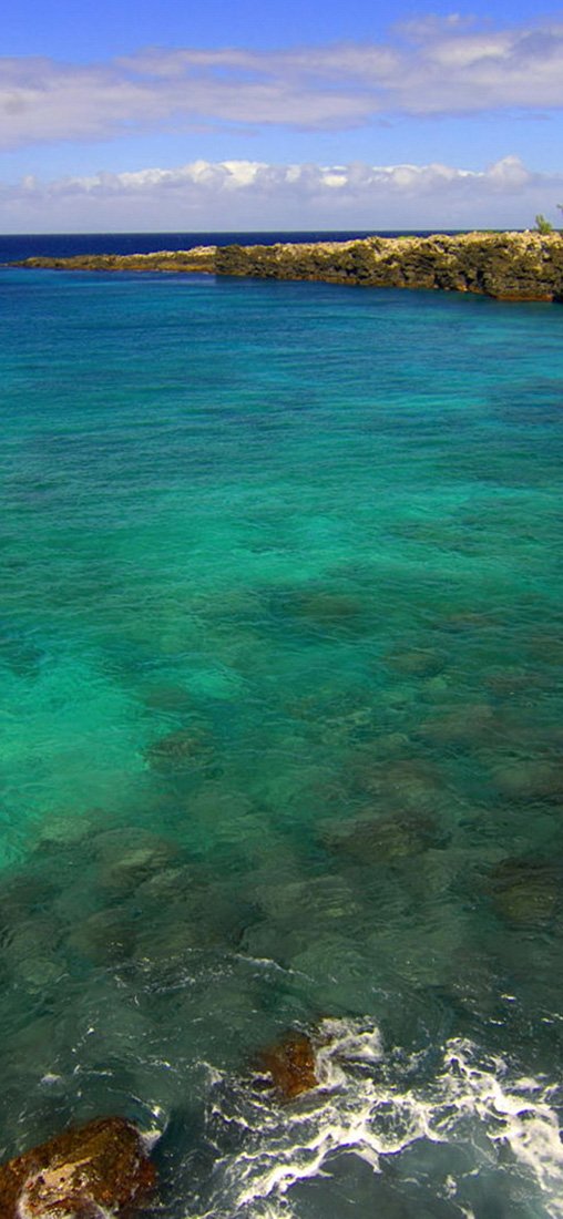 PeelitStickit, Beautiful Nature Wall Murals, ID-1296, vinyl