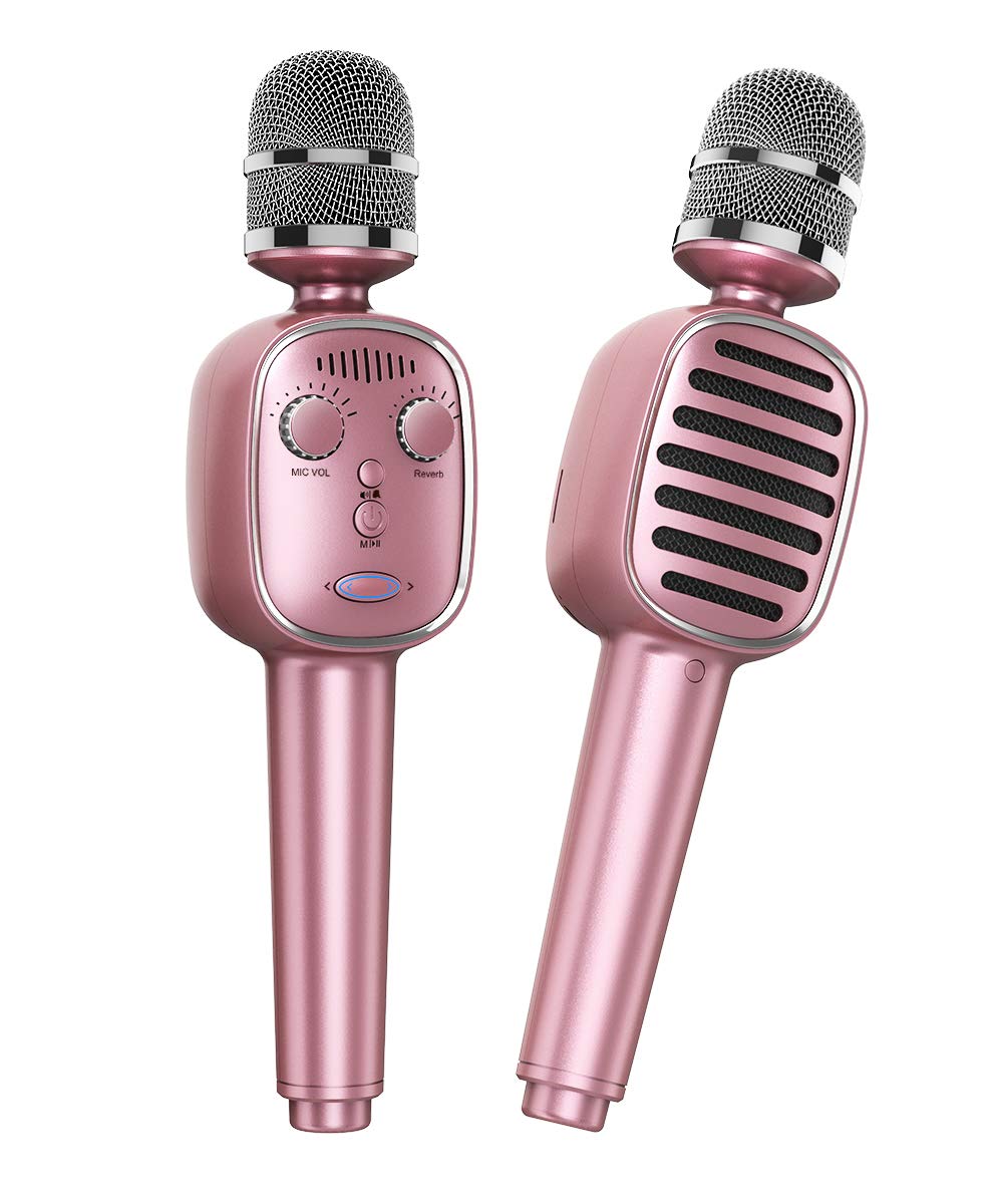 reverb microphone toy