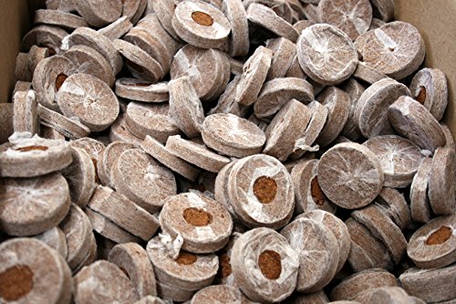Coco Coir Grow Pellets/Grow Media 42 mm (1.65 in) - Value Pack Sizes (1,000) - NOT Jiffy-7 - Coco Coir not Coco Peat