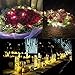 VINTAR String Lights, 2 Set of 30 LEDs Super Bright Warm White Flexible Light 9.8 Ft/3M Strip Lighting on Long String Copper Wire with 10 Batteries for Garden, Patio, Wedding