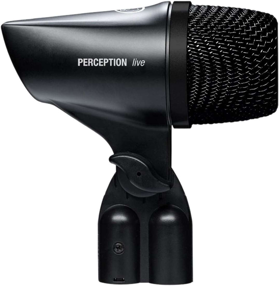 AKG Pro Audio P2 High-Performance Dynamic Bass Microphone: Musical Instruments