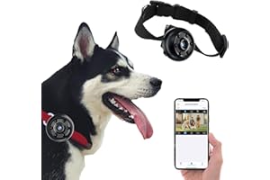 Mayycinco Mini HD Cat Camera Collar, Dog Camera with Video, Pet Security Surveillance Camera with Night Vision, Mini Security Dog Camera, Spy Camera,Indoor/Outdoor Kitten Puppy Supplies/Birthday Gift