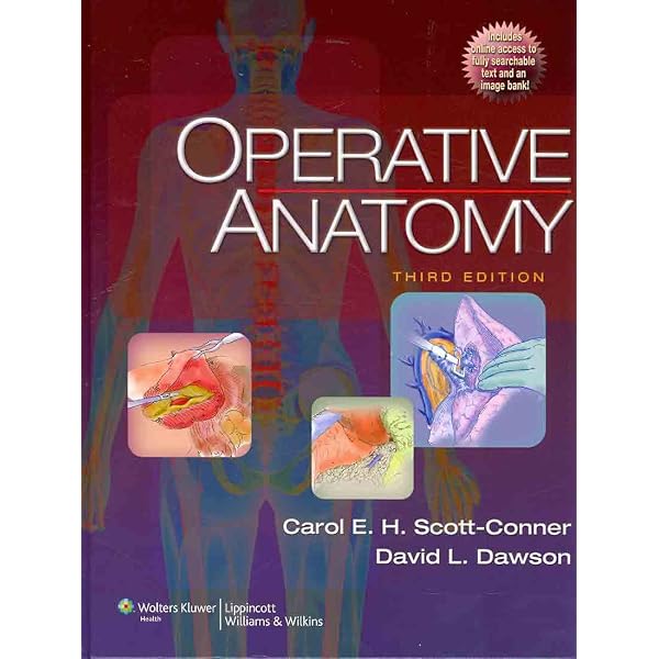 Rhoton: Cranial Anatomy and Surgical Approaches : Neurosurgery