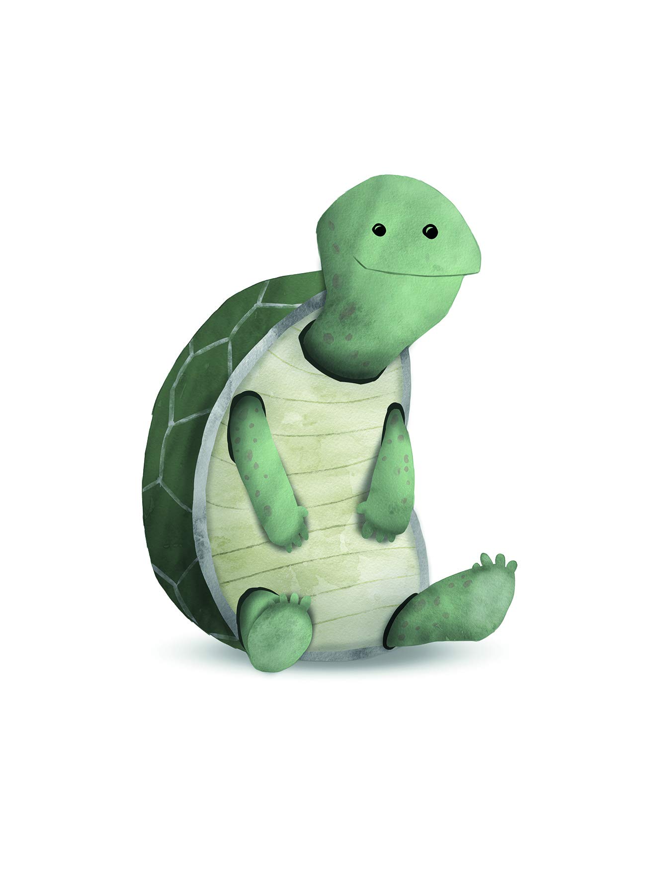 Komar Wall Picture | Cute Animal Turtle | Poster Picture Living Room Bedroom Decoration Art Print | No Frame | P111B-30x40 | Size: 30x40 cm (Width x Height) — image 1