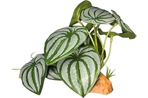 PIKAZISO Reptile Plants for Terrarium, Amphibian Habitat Decor Plants with Artificial Stone Base for Gecko Chameleon Snake Tortoise - Fake Peperomia Tetraphylla