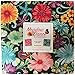 Amanda Murphy Meadow Dance 10X10 Pack 42 10-inch Squares Layer Cake Benartex
