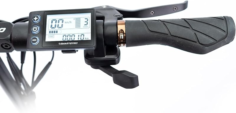 Speedway Pro - Patinete Eléctrico de 48V, 1000W Pot. Máxima, Batería 15Ah, Autonomía 60 Km, Ruedas de 10 Pulgadas Dual Grip, Suspensiones, Triple Frenada, Certificado DGT
