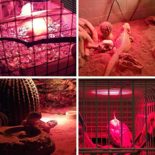 OMAYKEY 75W Infrared Spot Heat Lamp Bulb Red Light Glass Heating Lamps Bulbs for Lizard Snake Chameleon Bearded Dragon Aquarium Reptile & Amphibian - 2 Pack