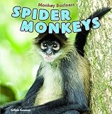 Spider Monkeys (Monkey Business)