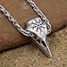 TTKP Viking Odin¡s Raven Amulet Helm of Awe Ravenskull Pendant Necklace