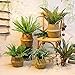URFORESTIC Natural Woven Seagrass Tote Belly Basket for Storage, Laundry, Picnic, Plant Pot Cover, and Beach Bag (Large)